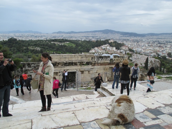 Steps to the Parthenon, feat. a sleeping dog